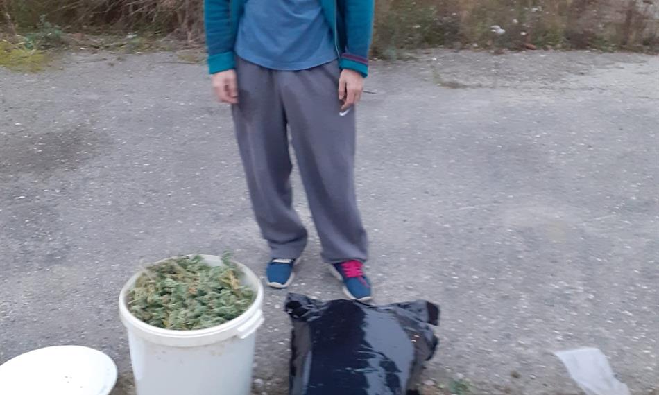 Záchyt konopí a kokainu